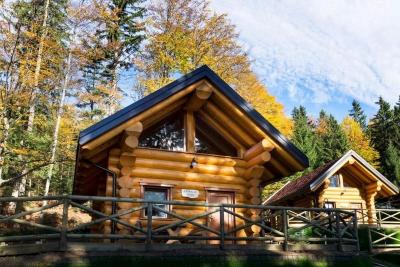 VILA, ZELENA VAS IN WELNESS RUŠEVEC, POHORJE 