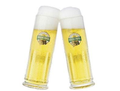 Obletnica, zabava, martinovanje, domača hrana, pivo - kratochwill - btc, kolodvor in tc rudnik
