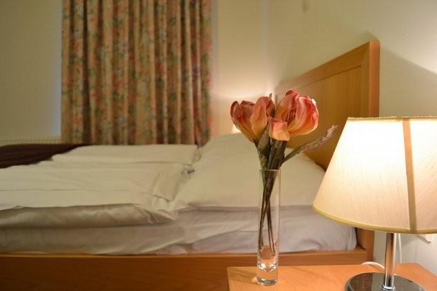 Hotel Tabor, Sežana