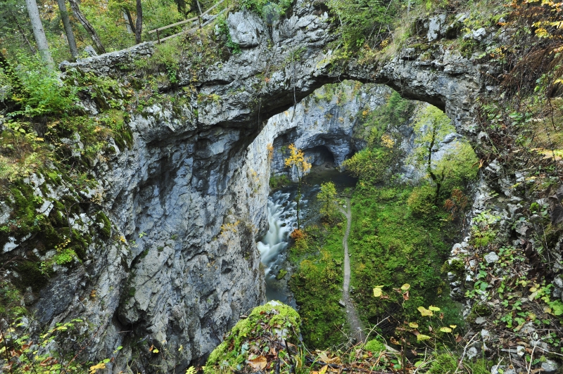 Cataring Cerknica