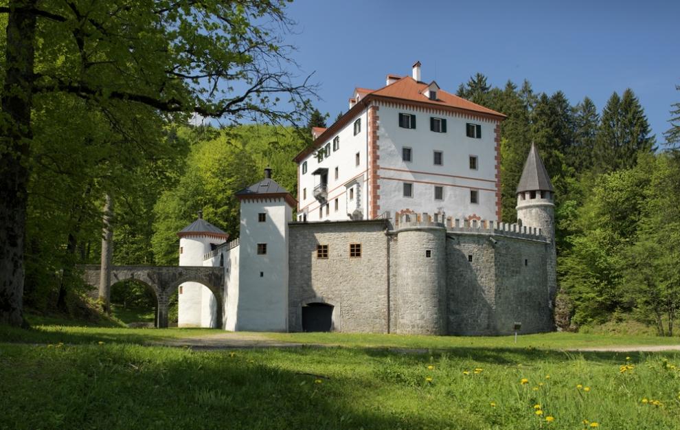 Cataring Cerknica