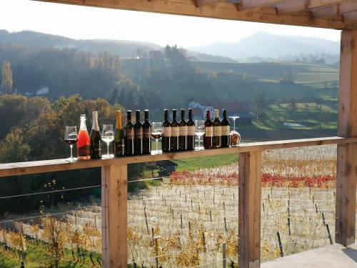 DEGUSTACIJE VIN-VINSKA DEGUSTACIJA VINA MRAMOR 