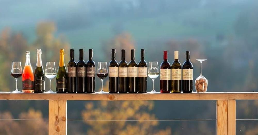 Degustacije vina, Vina Mramor