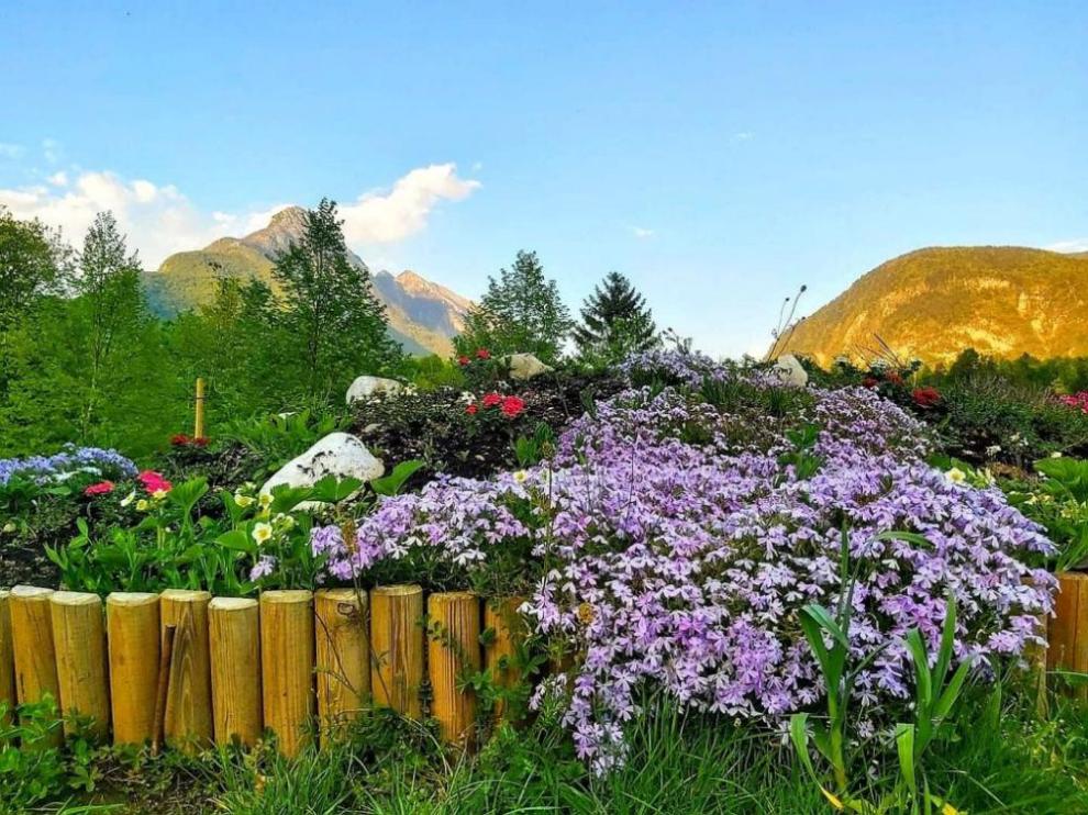 Camp Bovec