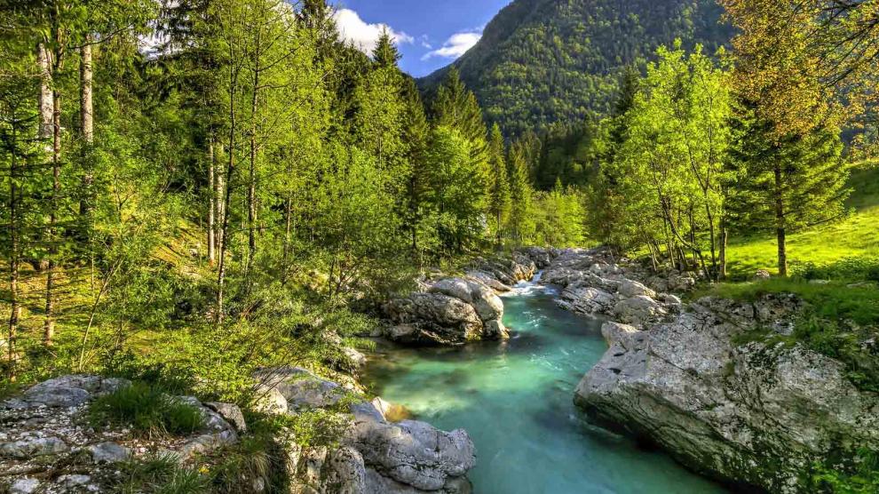Apartmaji Kranjska Gora
