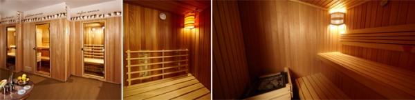 MASAŽE, SAVNE, UGODNE NOČITVE, MEDENA VAS, BEE LAND, APARTMAJI IN WELLNESS SKOK, MOZIRJE 15