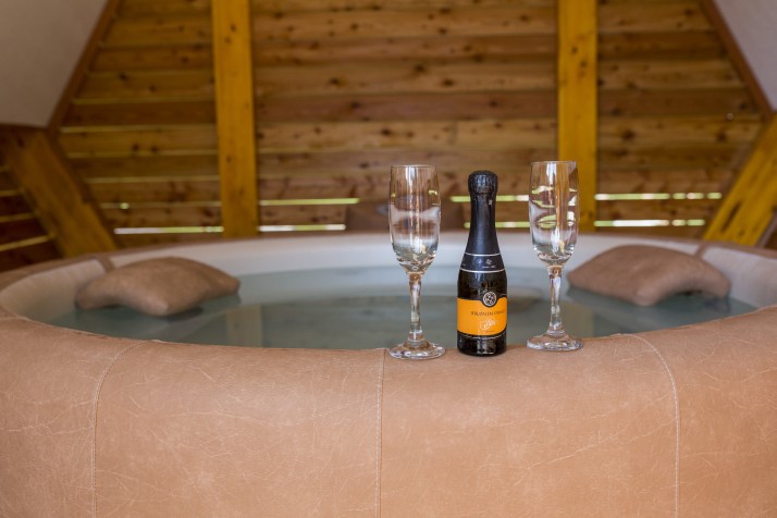 Apartmaji in wellness Skok, Mozirje