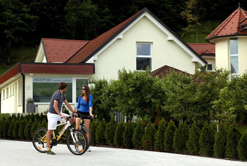 Apartmaji in wellness Skok, Mozirje