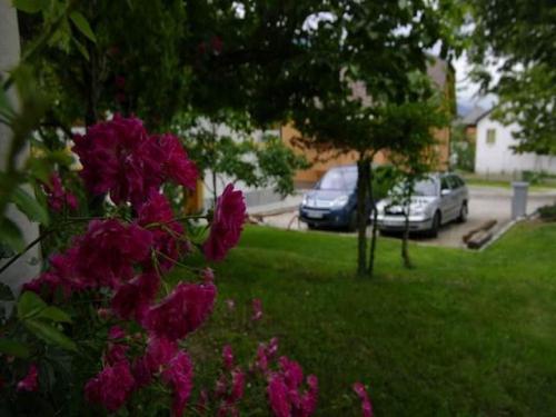 APARTMENTS BOVEC-UGODNE NOČITVE APARTMAJI BOVEC