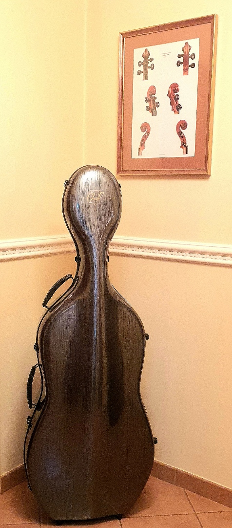 Violine iz visokoresonančnega lesa