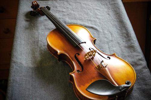 VIOLINE IZ VISOKORESONANČNEGA LESA