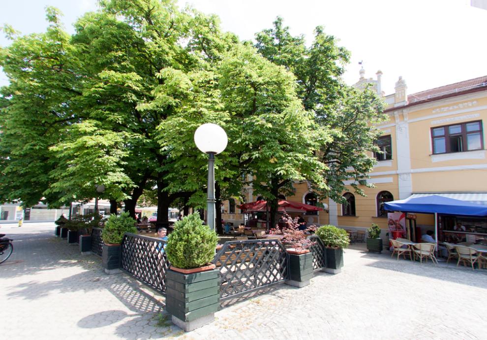 Restavracija in pivnica, Prenočišča, Hotel Zvezda, Murska Sobota