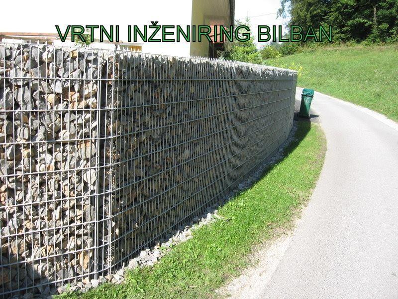 Lovorikovec za živo mejo