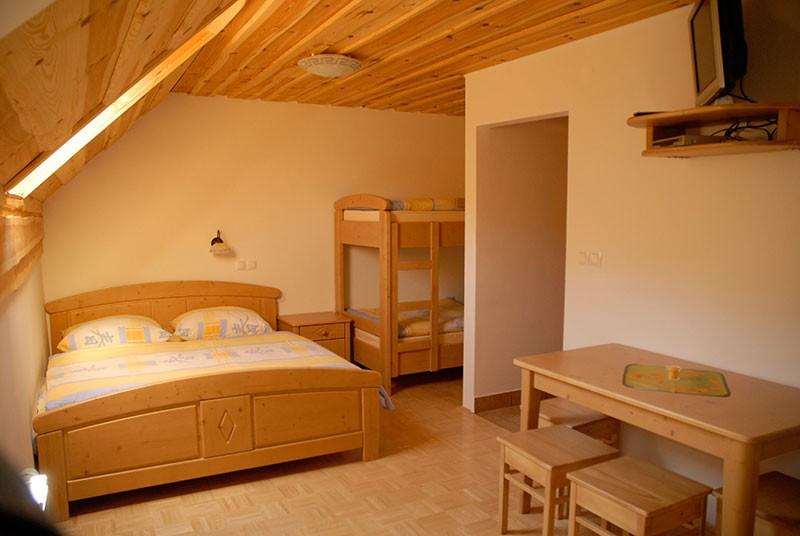 Apartma Logarska Dolina