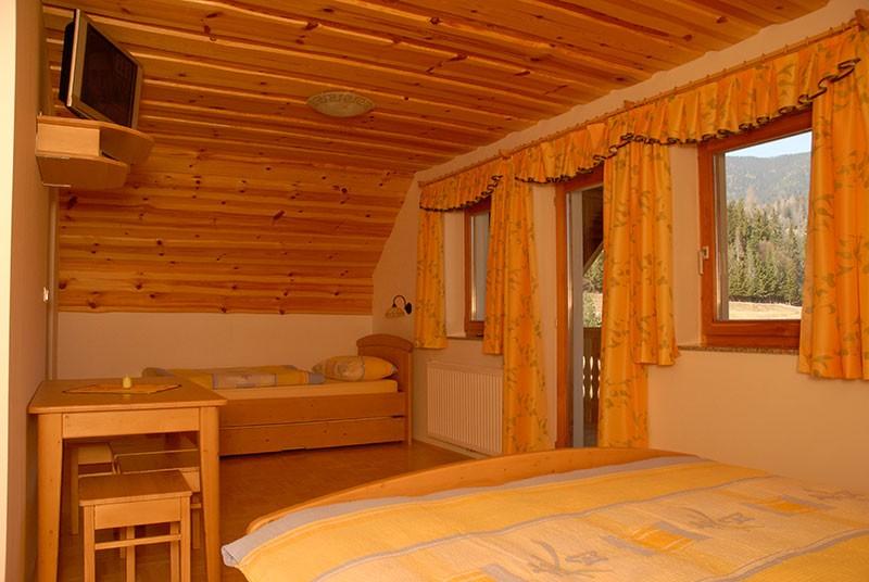 Apartma Logarska Dolina