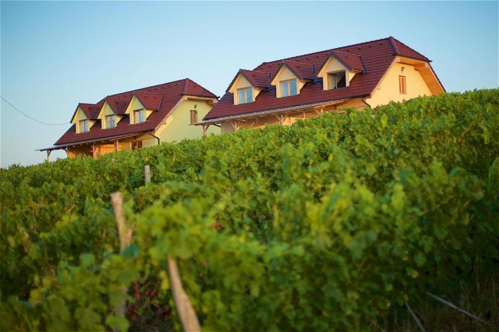 Apartmaji med vinogradi Lovrec