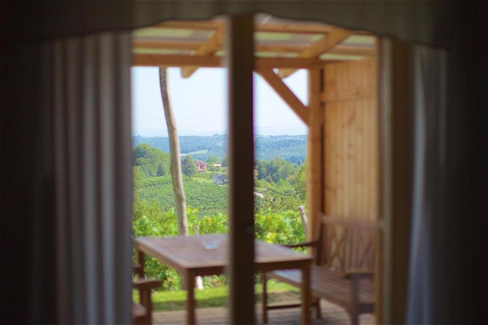 Apartmaji med vinogradi Lovrec