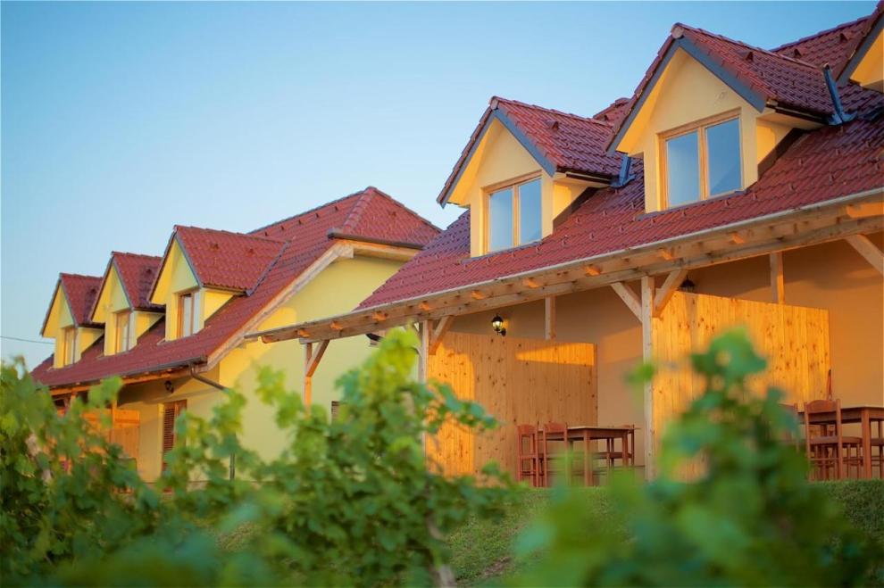 Apartmaji med vinogradi Lovrec