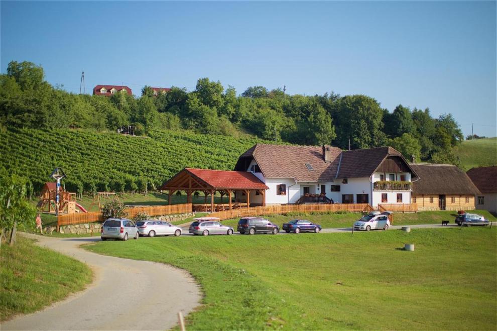 Apartmaji med vinogradi Lovrec