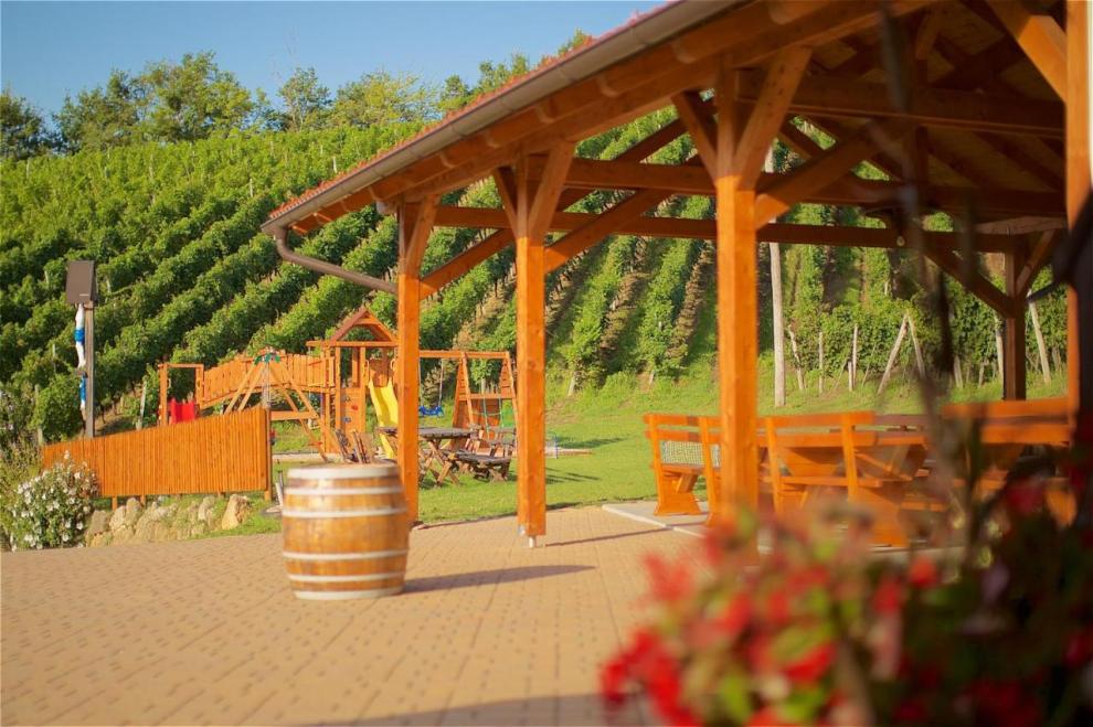 Apartmaji med vinogradi Lovrec