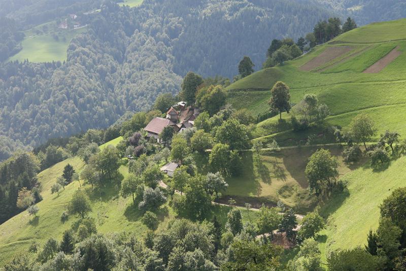  POHOD NA VRH GRMADE OBISK PRI GOSTILNA PRI MEHAČKU 2