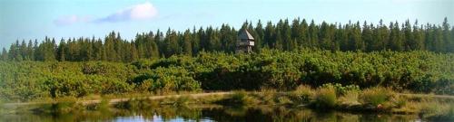 APARTMAJI LOVRENC NA POHORJU