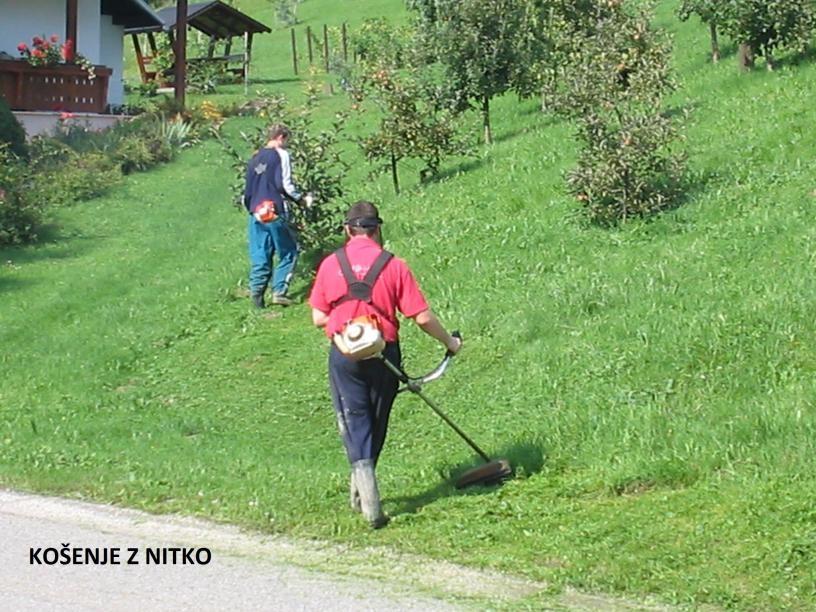 SMILKO-UREJANJA OKOLJA IN HIŠNI SERVIS, MALEČNIK 11