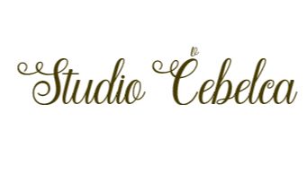 KOZMETIČNI SALON LESCE STUDIO ČEBELCA