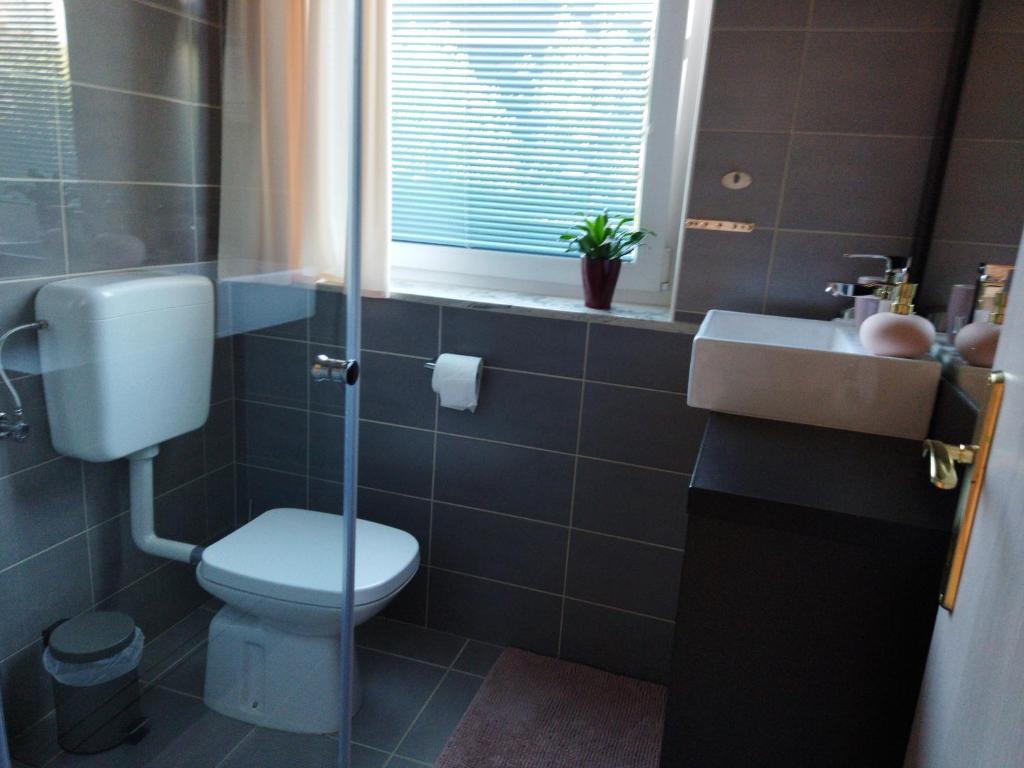 Apartma Jerman Cerknica