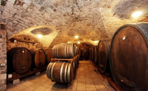 VINA IZ KRASA VINSKA KLET ŠTOKA