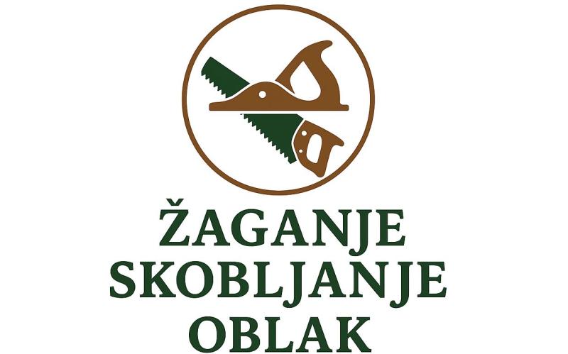 MATEJ OBLAK, ŽAGANJE IN SKOBLJANJE LESA, ŽAGA GORENJA VAS