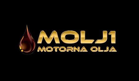 MOTORNA OLJA CASTROL MOTUL,... MOTORNA OLJA CASTROL MOTUL,...
