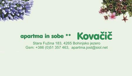 APARTMAJI IN SOBE JOŠT, BOHINJSKO JEZERO APARTMAJI IN SOBE JOŠT, BOHINJSKO JEZERO
