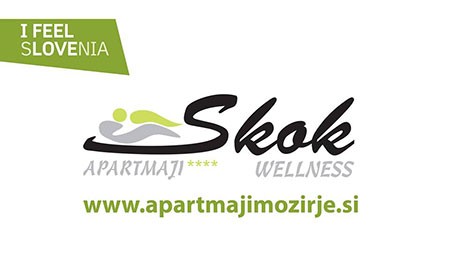 MASAŽE, SAVNE, UGODNE NOČITVE, MEDENA VAS, BEE LAND, APARTMAJI IN WELLNESS SKOK, MOZIRJE