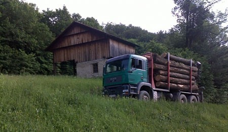 SINJA TRANSPORT, ŠENTVID PRI STIČNI