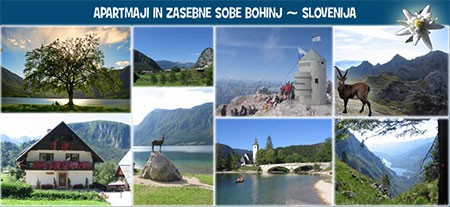 APARTMAJI IN ZASEBNE SOBE MARIJA ROZMAN, SREDNJA VAS V BOHINJU