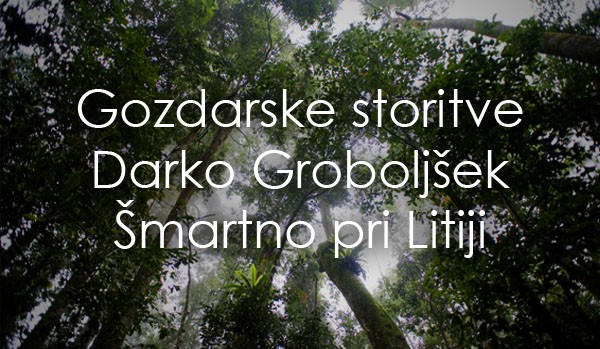 GOZDARSKE STORITVE GROBOLJŠEK ŠMARTNO PRI LITIJI