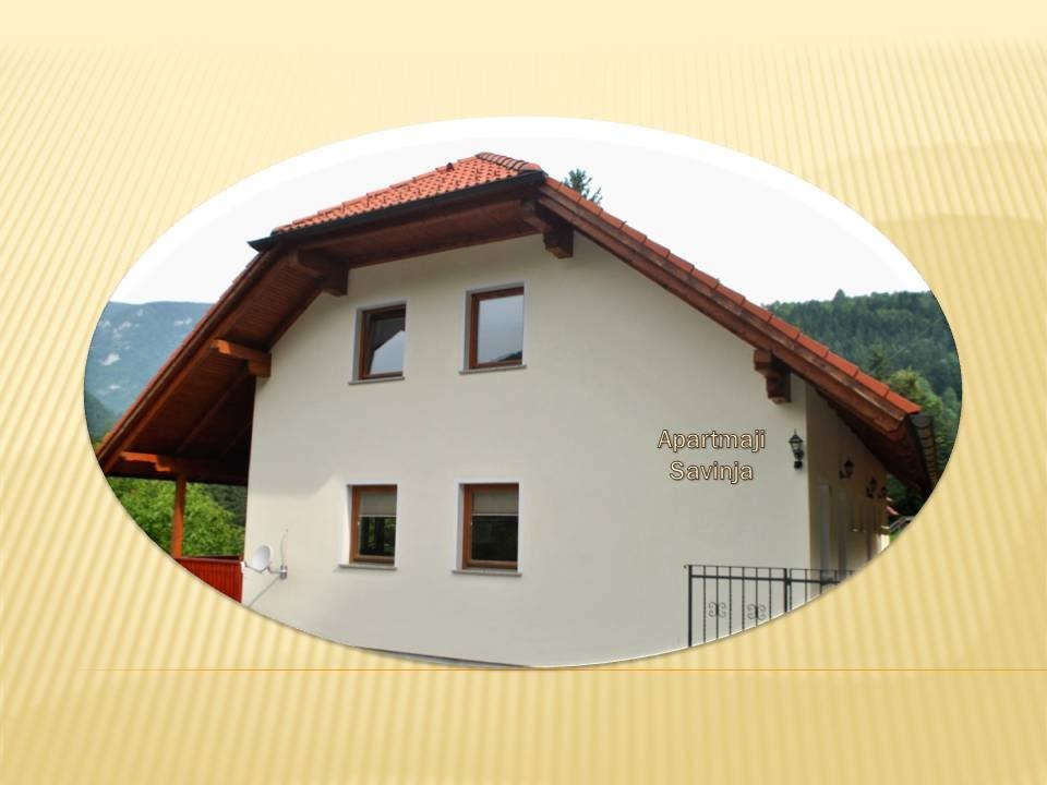 APARTMAJI SAVINJA, LUČE