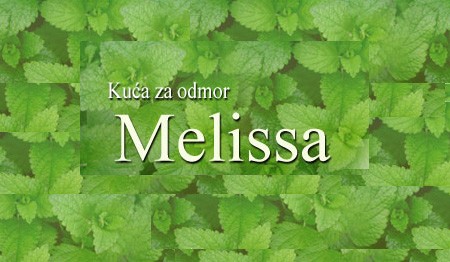 POČITNIŠKA KOČA MELISSA, FUŽINE