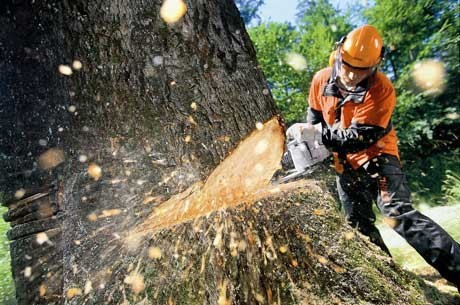 GOZDARSKE STORITVE IN KAMNOSEŠTVO, URBAN PRELC, SENOŽEČE