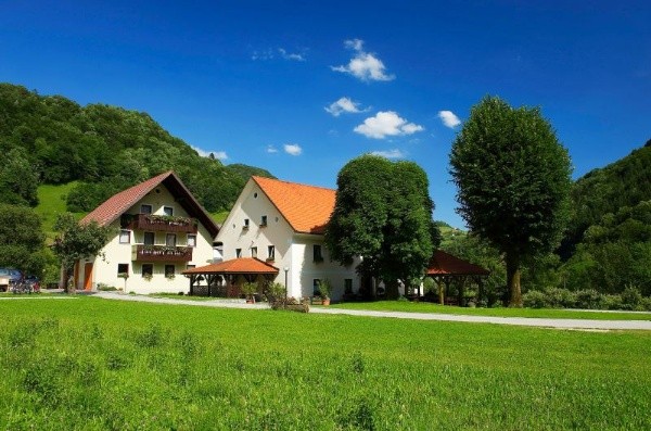 TURISTIČNA KMETIJA ŽELINC, CERKNO